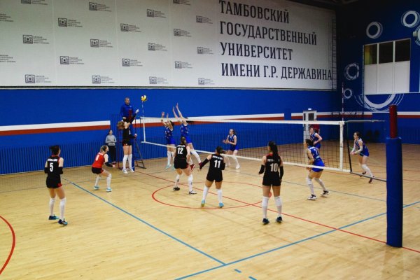 Кракен шеринг