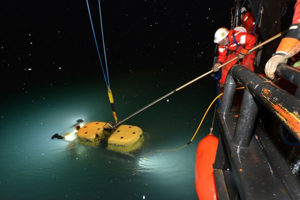 Kraken вход kraken torion